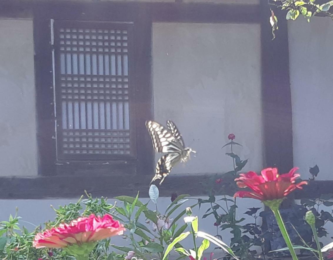Manhoe Gotaek Bonghwa Exterior foto